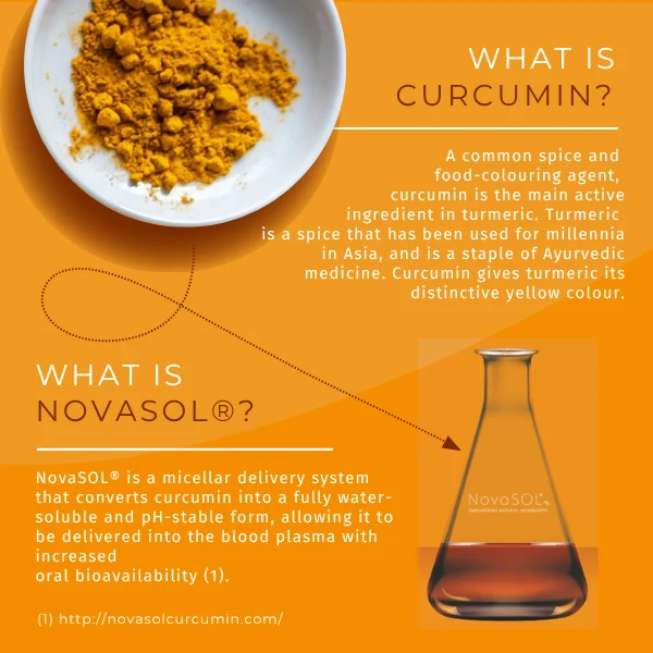 Active Curcumin - Image 6