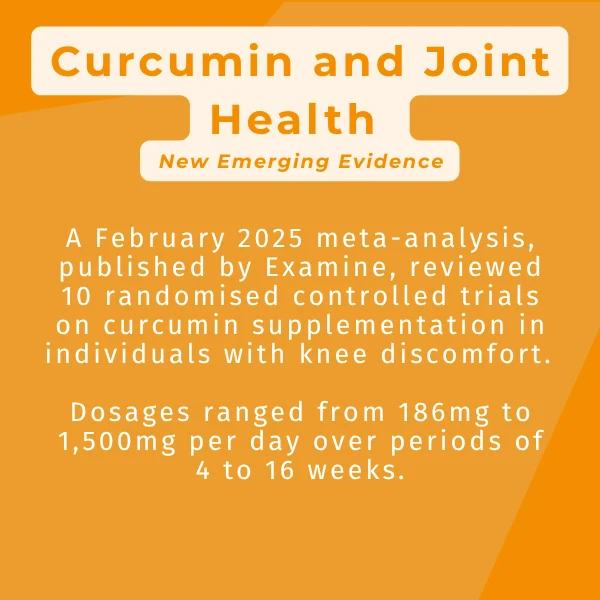 Active Curcumin - Image 9
