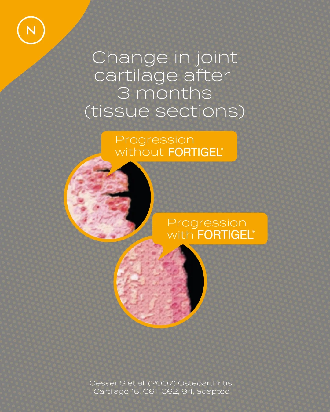 Collagen Peptides - Image 11
