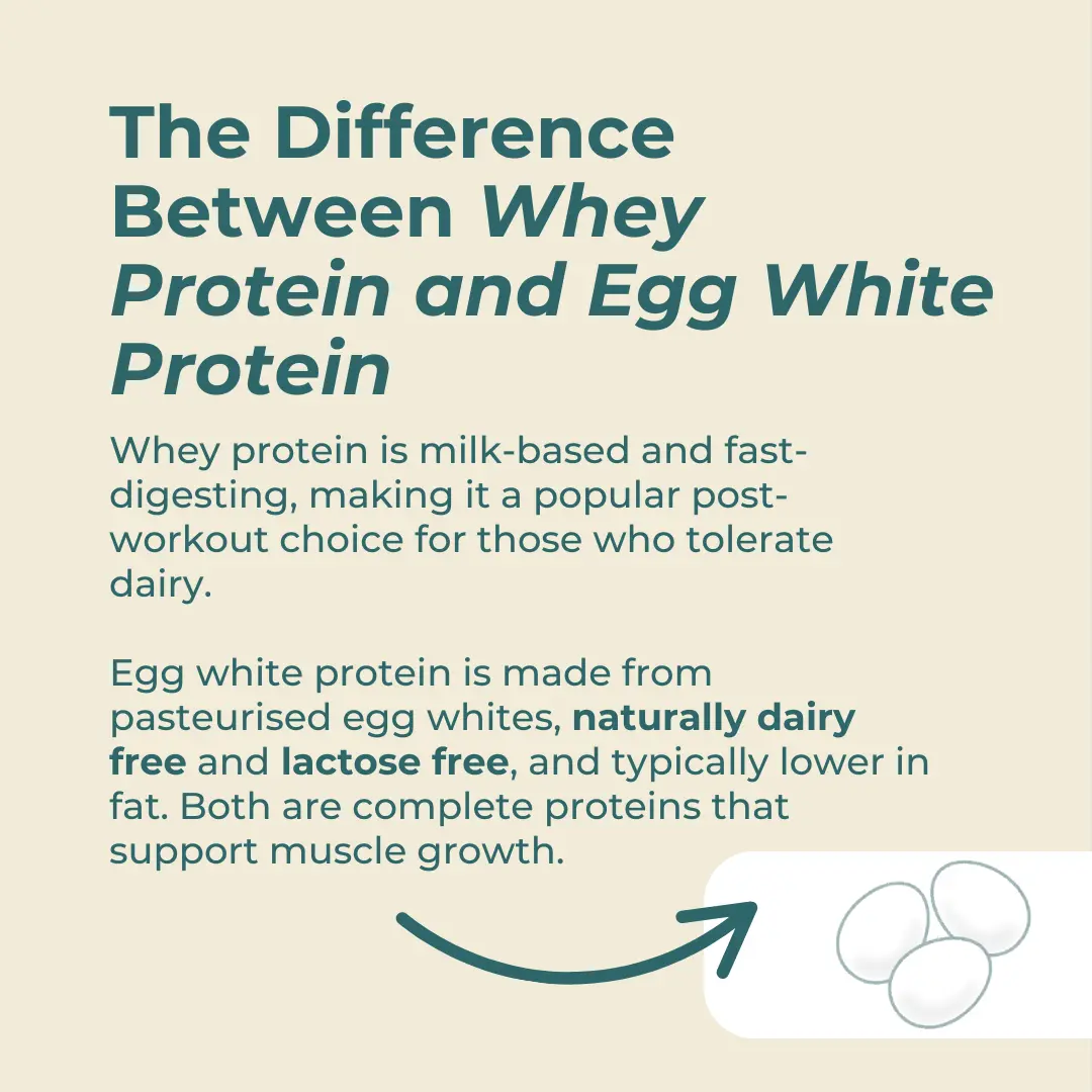 Egg White Protein Powder - Image 6