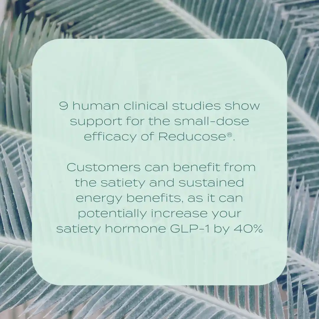 Glucose Support Capsules - Image 7
