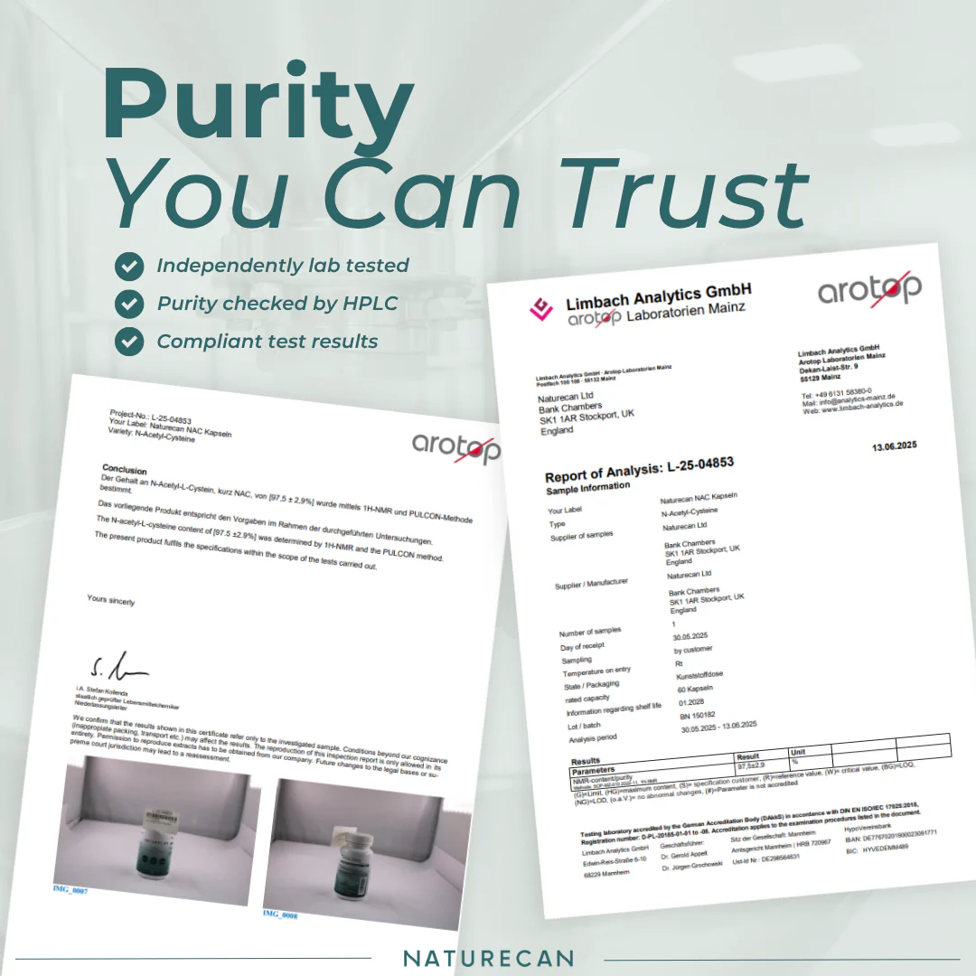 NAC Supplement - Image 9