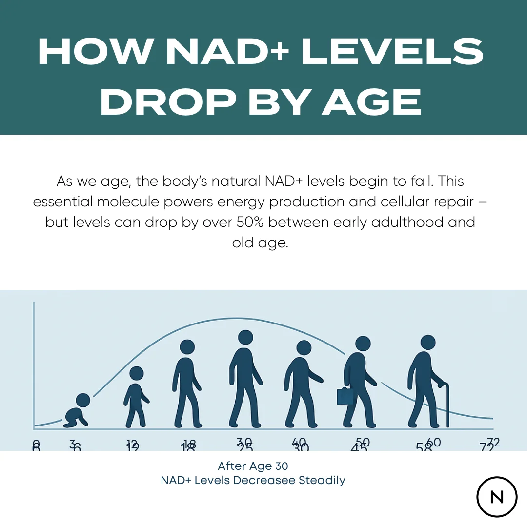 NMN Supplement - Image 9