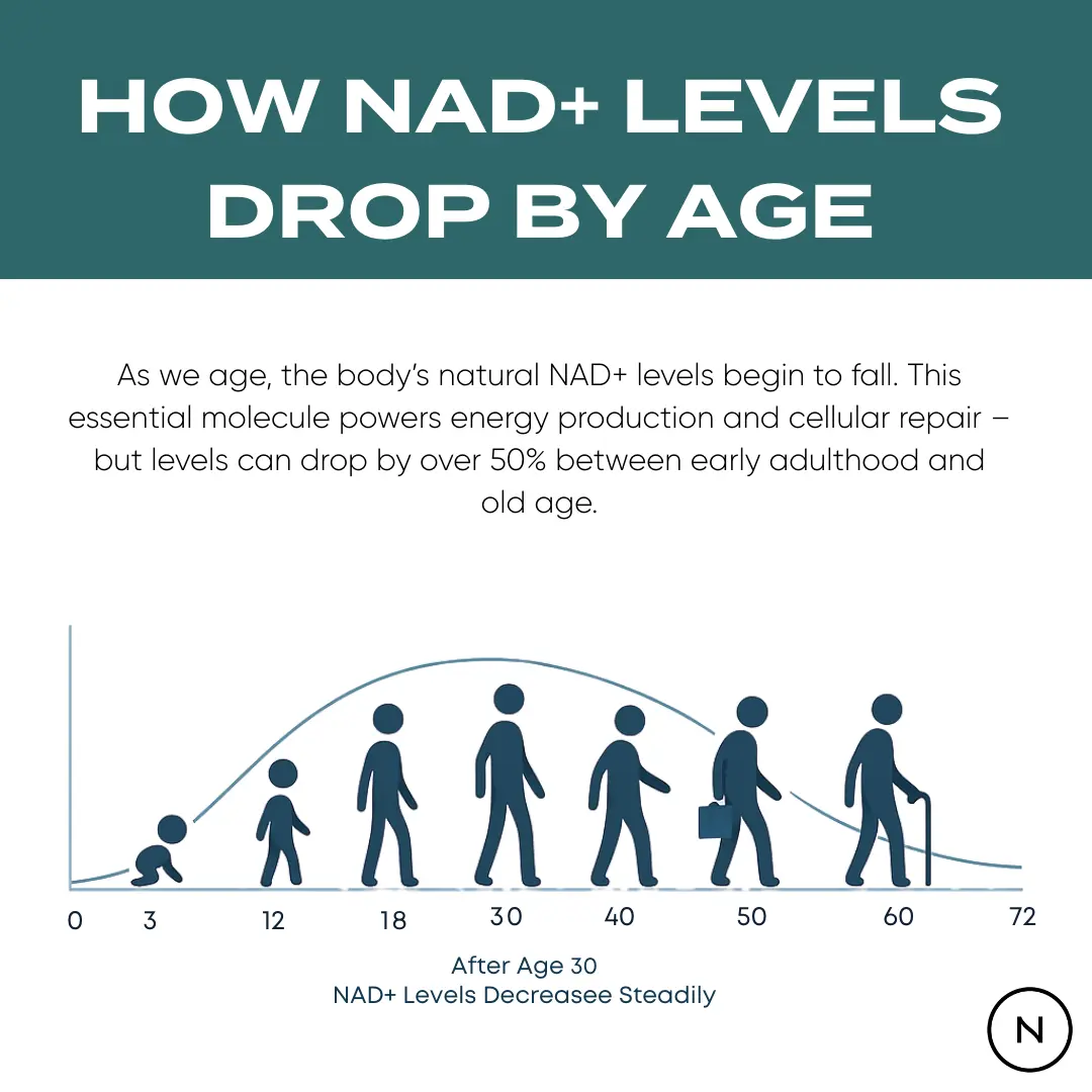 NAD Supplement (NR) - Image 6