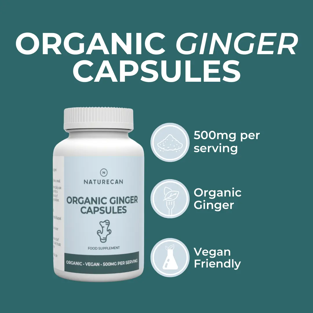 Organic Ginger Supplement - Image 4