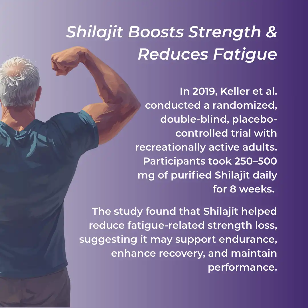 Shilajit - Image 9