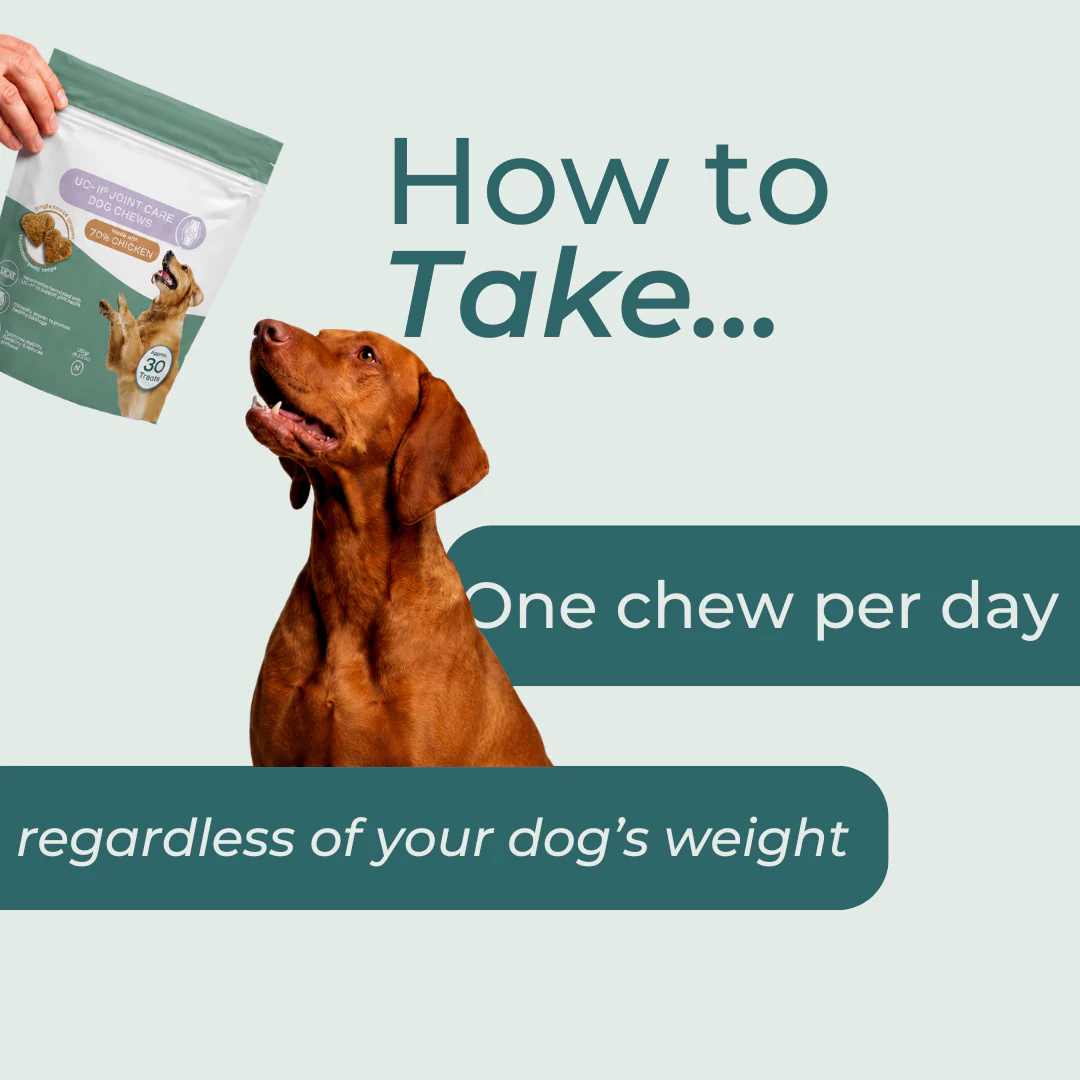 UC-II® Joint Care Dog Chews - Image 3