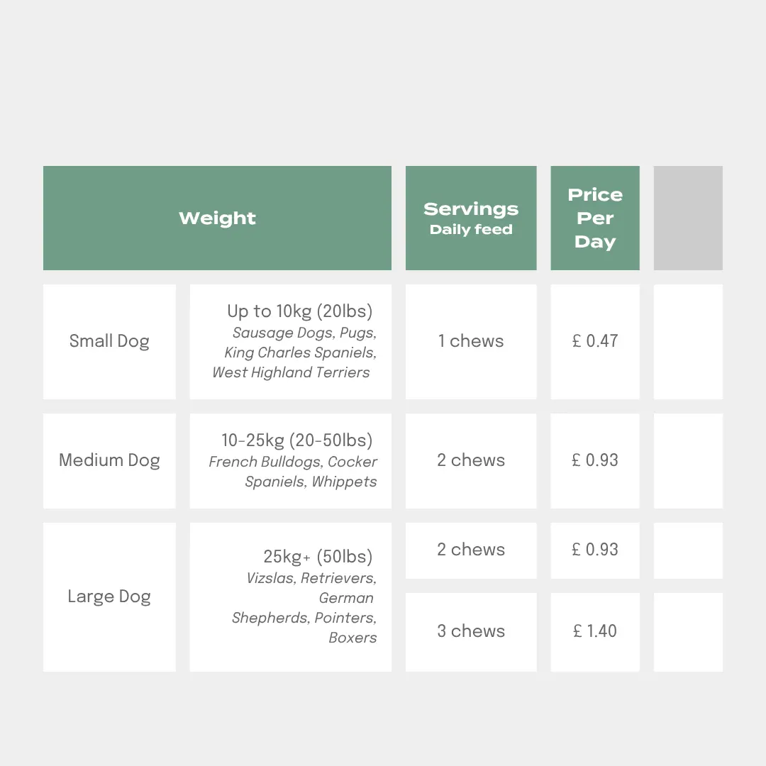 UC-II® Joint Care Dog Chews - Image 4